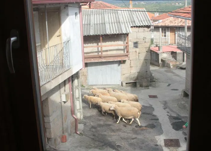 Дом отдыха Casa Manuela Альярис